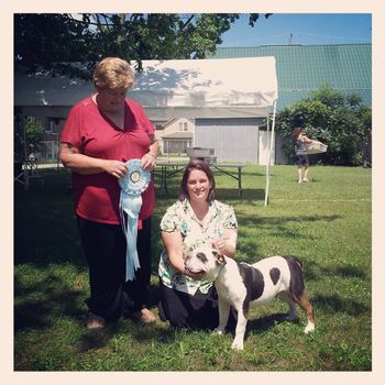 Nelli - 7 Months - RBCSWO - Best Puppy in Show
