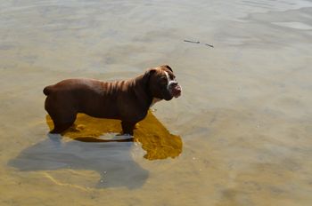 Testing out the waters
