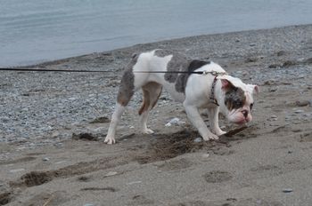 Fun day at the beach!
