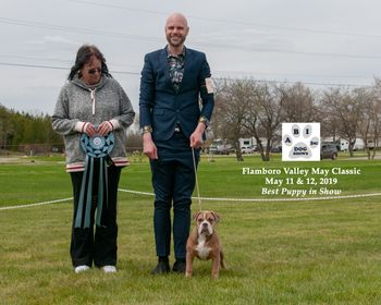 Best Puppy in Show - with handler Tyler Luck
