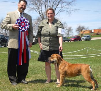 Tikka - 1.5 years - ABI Dog Shows - BEST IN SHOW
