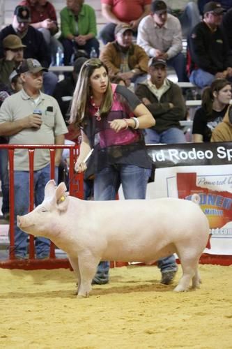 2nd place Lt Weight @ San Antonio Livestock Show
