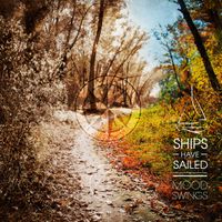 Moodswings by Ships Have Sailed