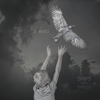 Every Little Bird by Ships Have Sailed
