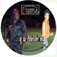R U Feelin' Me by Passion Perfected