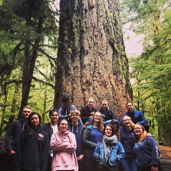 Cathedral Grove stop on our Island mini Tour
