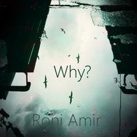Why? by Roni Amir 