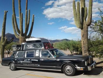 Phoenix on the Western Troubadour Tour 2013.Photo by Jim St. James
