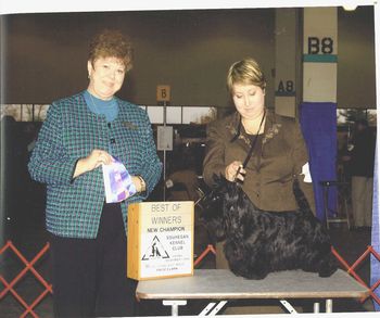 On November 7, 2008 at the Souhegan Kennel Club Show Calah earns her AKC Championship title Judge Wyoma Clouss bestowing the honor.
