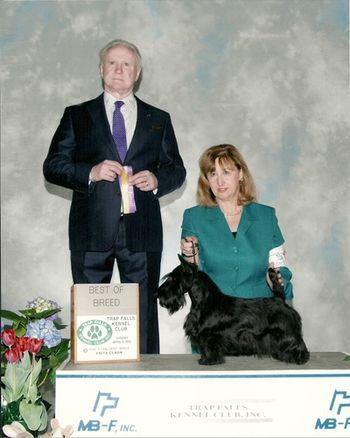 Pippa at her second show Easter 2012 at just one year took Best of Breed (and over a Champion) at the West Springfield under Dr. John Reeve-Newson.
