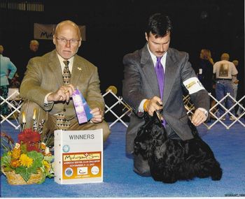 When I was unable to show Terrra at the prestigious Eukanuba Challenge show in Hartford, R.C. Carusi did the honors, The Judge is Ed Bivin who also does television commentary for many of the Eukanuba shows. I am quite proud of Terra winning such an important show at just over one year old.
