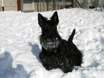 Calah's first snowstorm.
