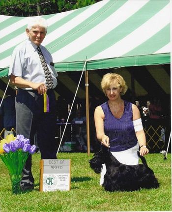 Ch. Kelton celebrated his second birthday with a Best of Breed win in New Hampshire. Was it ever hot, but Kelton didn't seem to mind. Judge Ferris, a former Scottie breeder and handler awarded Kelton with the honor.
