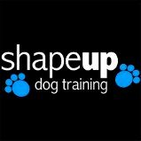 Tues - Advanced Intro to Agility - 12:30pm (Bonnie)