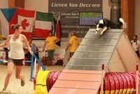 Saturday May 27th - Young Dog - 9:30am