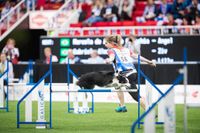 Sunday July 30th - International Handling - 6pm (Jessica)