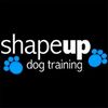 Tues - Start/Adv Handling - 8pm (Sue)