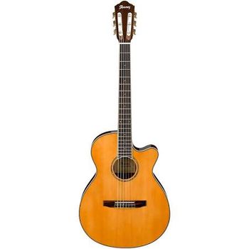 Ibanez Nylon Acoustic/Electric
