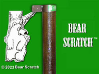 Bear Scratch™ (Cub) + Shipping to FL