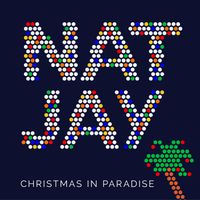 Christmas In Paradise by Nat Jay