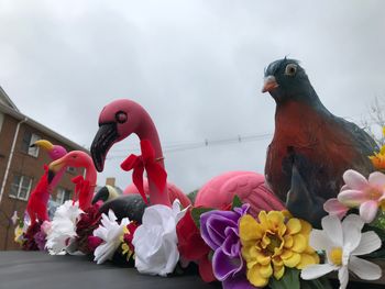 The Flock on the Park Bench
