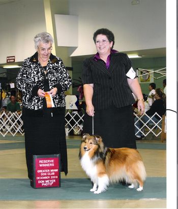 Greater Miami Dog Shows- Saturday, Dec. 6, 2009--Reserve Winners Bitch-Judge Mrs. L.R. James- Puppy class 9-12 and Best Sheltie Puppy Puppy Herding Group 3 Judge Steven Galdstone.
