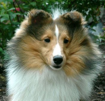 8.5 months old
