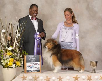 Jessica and Tech 2012 ASSA National_Reserve Winners Dog.
