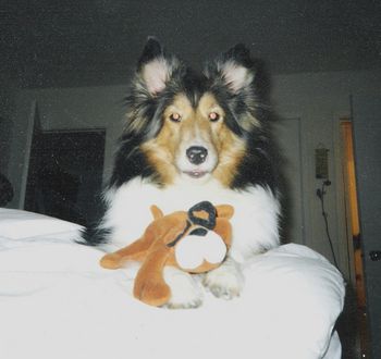 My beloved Shelby with her "puppy"
