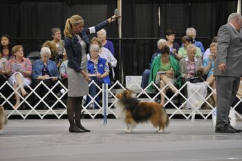Jessica and Tech 2012 ASSA National_Open Sable Dog_First Place.
