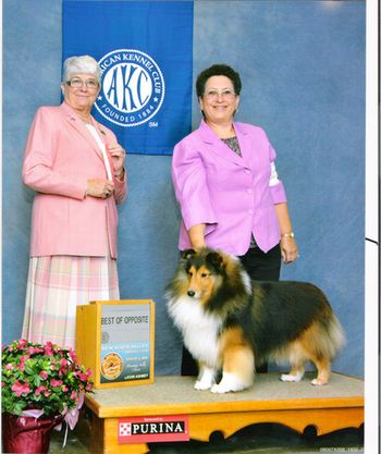Teddy decided to have fun in the ring and with that and four specials at the show (2 bitches and 2 dogs), Judge Muriel Purkhiser still awarded Teddybear Best of Opposite at the New River Valley Kennel Club in Virginia.
