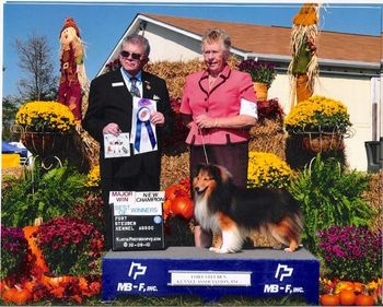 CHAMPION SUNSPUN PRIVATE STOCK-- At the Fort Steuben Kennel Club shows in PA., Judge VT Grosso awarded Kodybear Best of Winners for a 3 point major to finish. He was expertly handled by Zana Friend.

