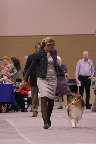 Jessica and Tech 2012 ASSA National_Open Sable Dog_First Place.
