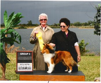 Sat. Feb. 27, 2010 Turbo was awarded a Group 3 by judge Carol Duffey (6-9 Puppy Dog Class.)
