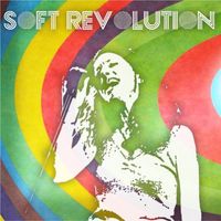 Soft Revolution by Kate Becker