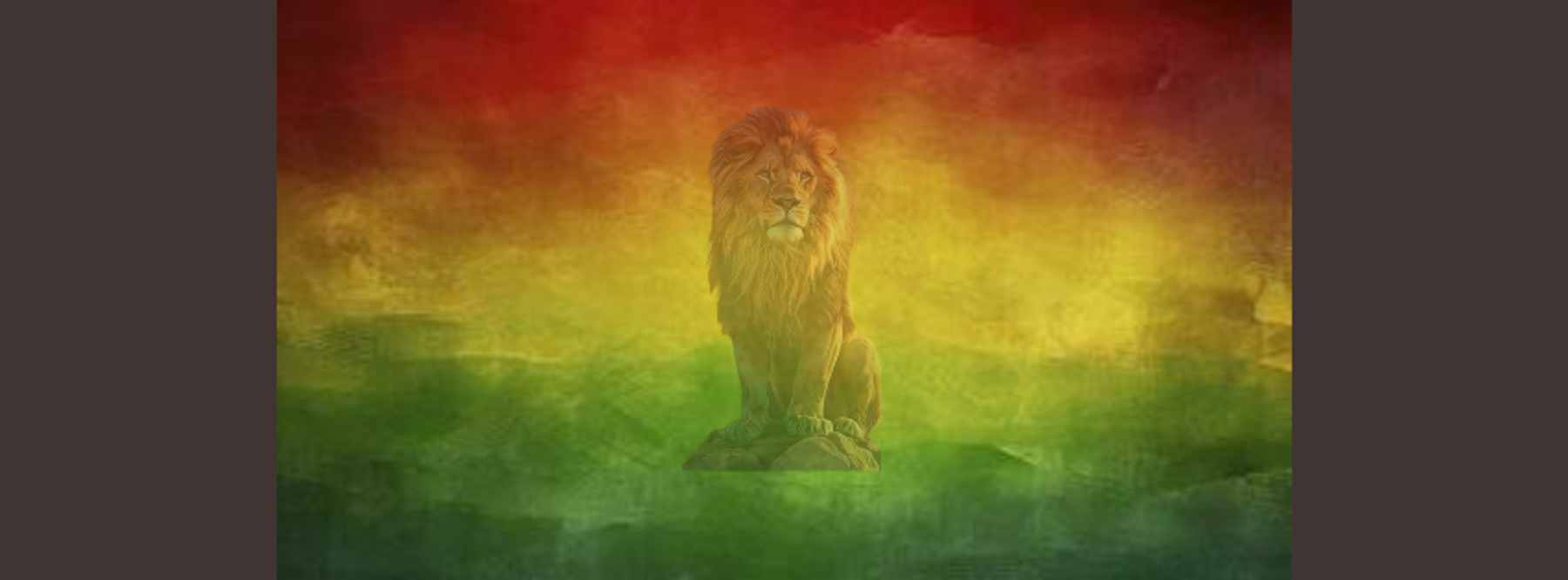 Lungu Vybz Reggae