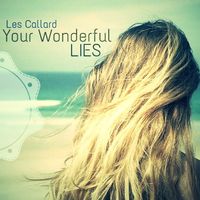 Your Wonderful Lies by Les Callard