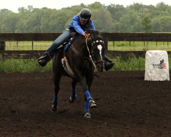 8yr Mare - Barrel Racing "Tiny And Mighty"

