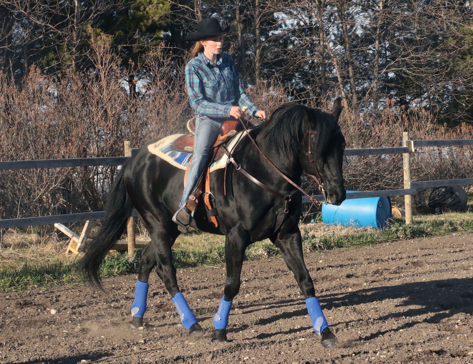 Thunder Spirit Ranch - Easy Six Kit
