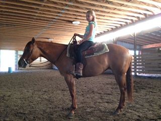 6yr old Mare by Lil Lena High Brow
