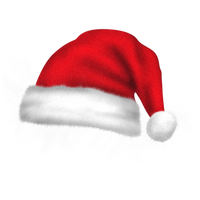 Autographed Williamson Branch logo Santa Hat