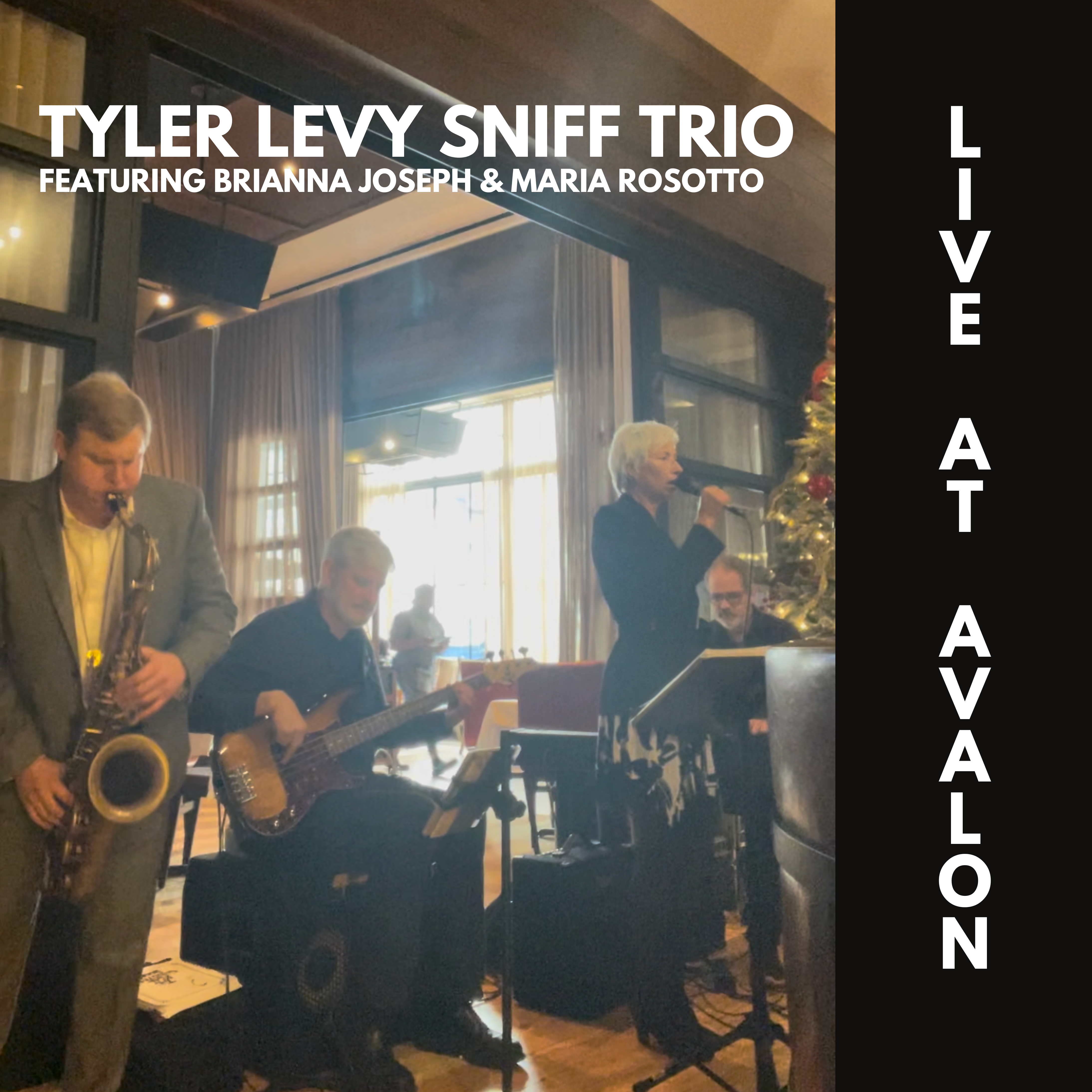 tylerlevyjazzband.com favicon