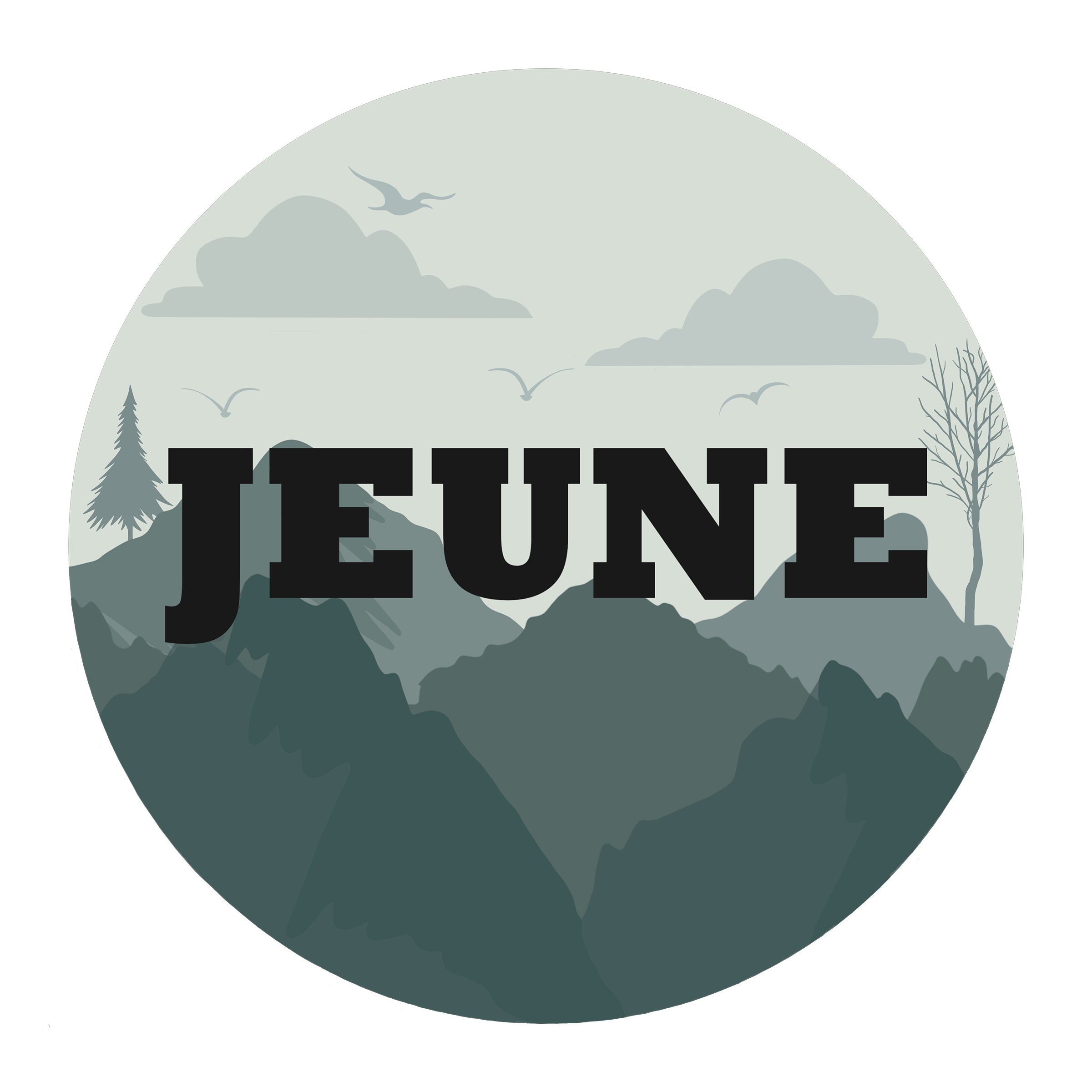jeuneband.com favicon