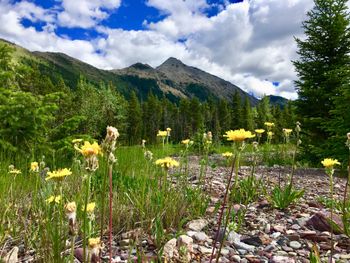 One of the many beautful stops on the trail
