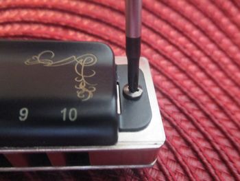 There are 2 screws that hold the harmonica cover plates to the rest of the instrument.

