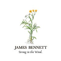 Strong in the Wind by James Bennett
