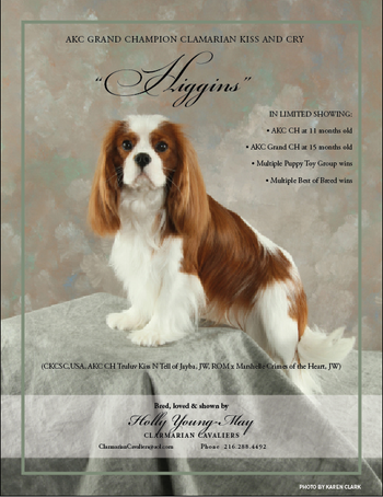 GCH Clarmarian Kiss And Cry "Higgins"
CKCSC Bulletin ad
