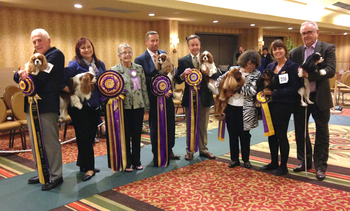 Congratulations to all the 2014 CKCSC USA National Specialty winners!!
