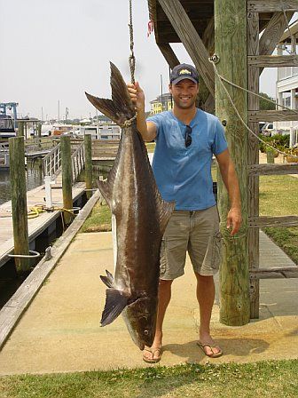 Record-setting Cobia in Virginia
