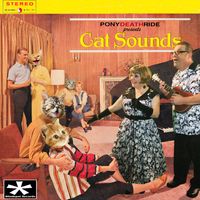 Cat Sounds by Pony Death Ride